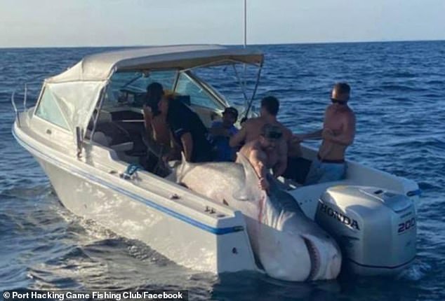 Paul Barning ha sido un competidor experimentado en competiciones de pesca durante la mayor parte de su vida, incluida una captura de tiburón Tiger de 394 kg en 2021 (en la foto)