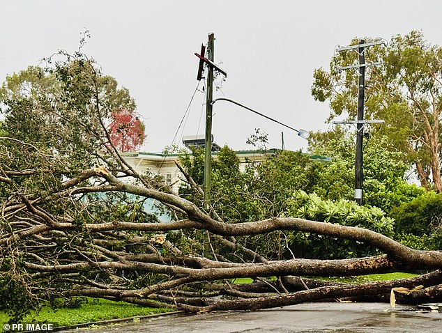 El norte de Queensland ha sido martillado por Wild Weather este año, con vientos y fuertes lluvias causando estragos a principios de este mes (en la foto: Townsville el 10 de febrero)