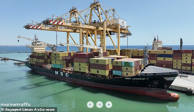 El MSC Levante F en la foto en Asyaport, en la costa norte del mar de Mármara, en Turquía, está ubicada antes de dirigirse a la ciudad ucraniana de Odesa