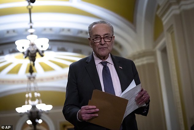 El líder de la minoría del Senado, Chuck Schumer, criticó la decisión de la administración, argumentando que el retiro del Pentágono de las operaciones cibernéticas ofensivas efectivamente entrega un pase gratuito