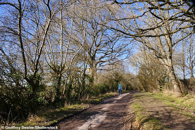 Walkers abrazan el sol en Dunsden, Oxfordshire el domingo 2 de marzo