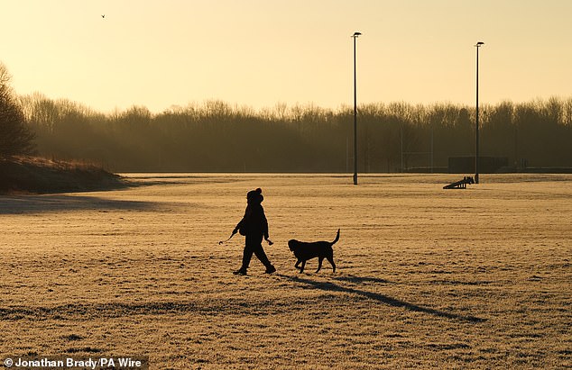 Un paseador de perros valiente con las condiciones heladas temprano en la mañana en Braywick Park en Maidenhead, Berkshire el lunes