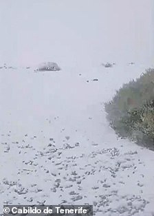 La rara lluvia y nieve torrenciales ha desatado el infierno en las islas con la gravedad de las condiciones que llevan a las autoridades a aconsejar a los residentes y turistas que se queden en interiores