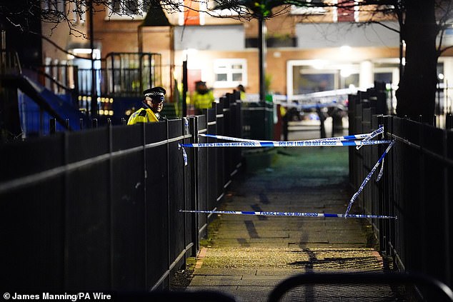 No se han realizado arrestos en relación con el tiroteo, que tuvo lugar no lejos de la estación de metro de Stockwell