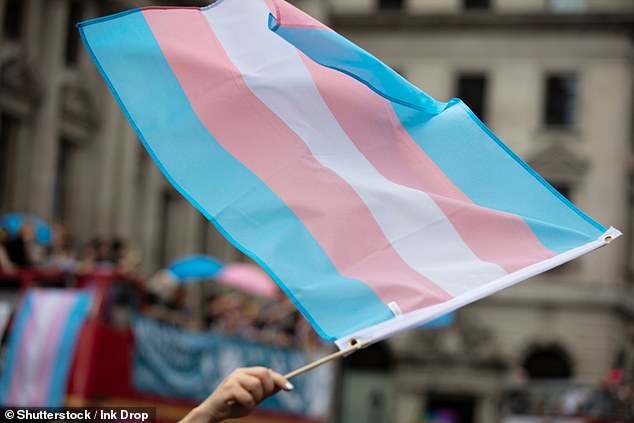 Un escenario de capacitación utilizado por el Servicio de Salud pidió a los trabajadores que consideraran el caso ficticio de 'Lucy', una enfermera trans de 29 años (foto de stock)