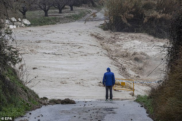 Un residente se encuentra junto a un área inundada que bloquea un camino entre las ciudades de Cehegin y Canara el jueves después de que las fuertes lluvias golpearon la región de Murcia