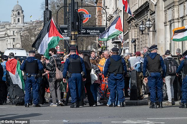 Los manifestantes se pararon cerca de las casas del parlamento mientras agitaban sus banderas palestinas