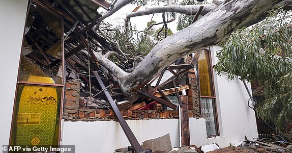 TOPSHOT - Una casa dañada se muestra después de que un árbol desarraigado por fuertes vientos se estrelló contra la estructura en el suburbio de Elanora cuando el ciclón Alfred pasó cerca de la costa del oro el 8 de marzo de 2025. El ciclón Alfred debilitado en una baja tropical el 8 de marzo, pero aún amenazaba con las inundaciones importantes de las principales inundaciones en los boscos al margen a medida que se acercaba a la lluvia y al viento de la costa oriental de Australia. (Foto de David Gray / AFP) (Foto de David Gray / AFP a través de Getty Images) *** Bestpix ***