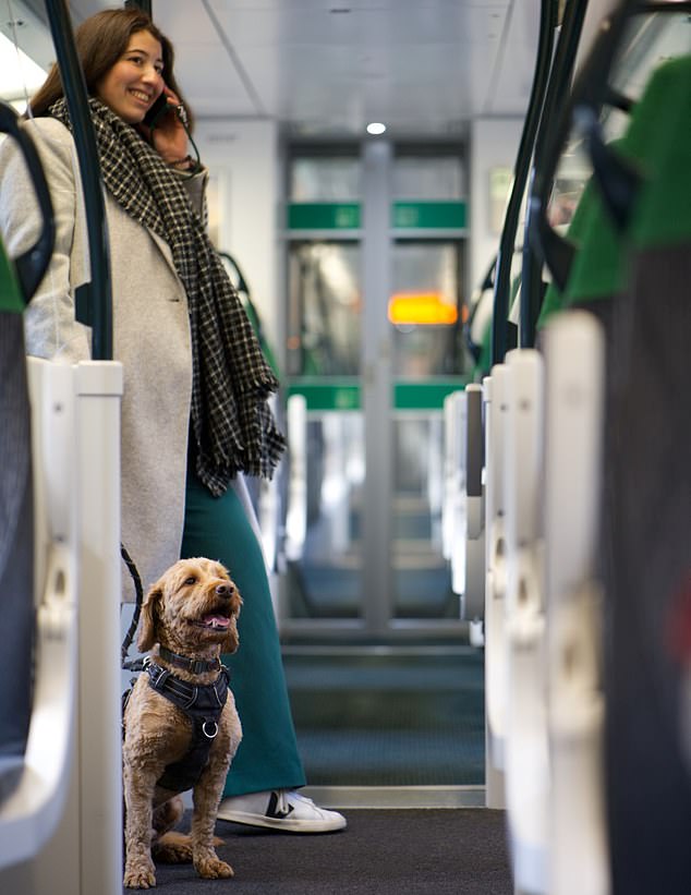 Para algunos, esto significa que ahora llevan a sus amadas mascotas a trabajar con ellas, incluso si eso significa para el centro de Londres