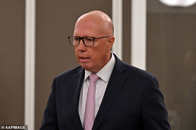 Mientras que la coalición ganó el voto de dos partes preferidos, los participantes no creían que Peter Dutton (en la foto) esté listo para ser primer ministro después de solo un mandato como líder de la oposición