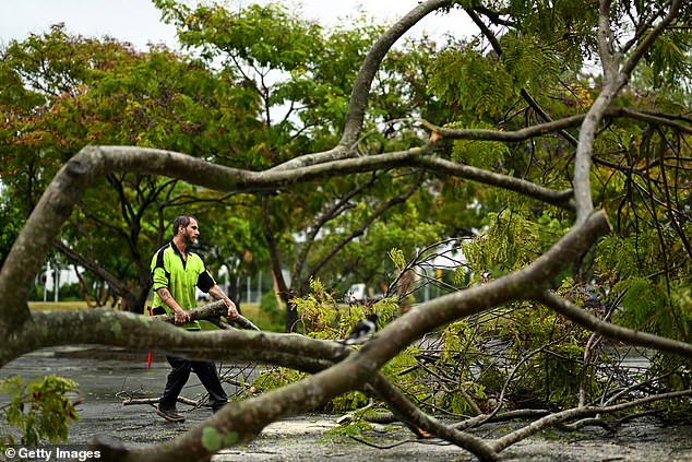 Grandes árboles fueron talados por Queensland y Nueva Gales del Sur, forzando los cierres de carreteras y los cortes de energía