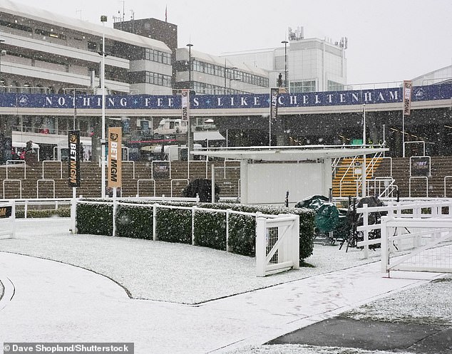 Foto: Un ligero polvo de nieve saludó a los corredores en Cheltenham el miércoles por la mañana