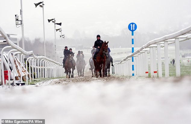 Los caballos se abren camino desde las galopes cubiertas de nieve el día dos del Festival Cheltenham 2025