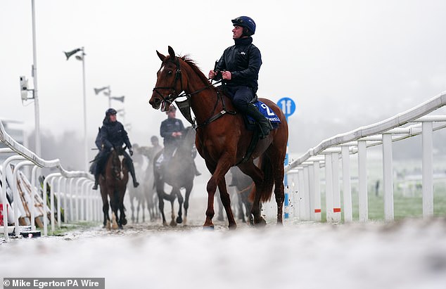 Los caballos se abren camino desde las galopes cubiertas de nieve el día dos del Festival Cheltenham 2025