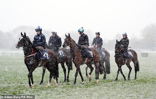 Gordon Elliott entrenó caballos en las galope el día dos del Festival Cheltenham 2025 en el hipódromo de Cheltenham