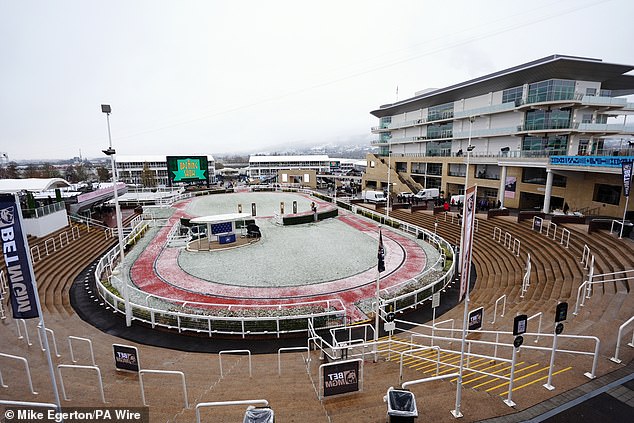 Una vista general del anillo de desfile el día dos del Festival Cheltenham 2025