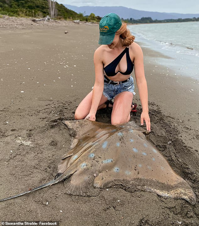 MS Stable en la foto con un rayo de aguijón muerto en un viaje a Nueva Zelanda