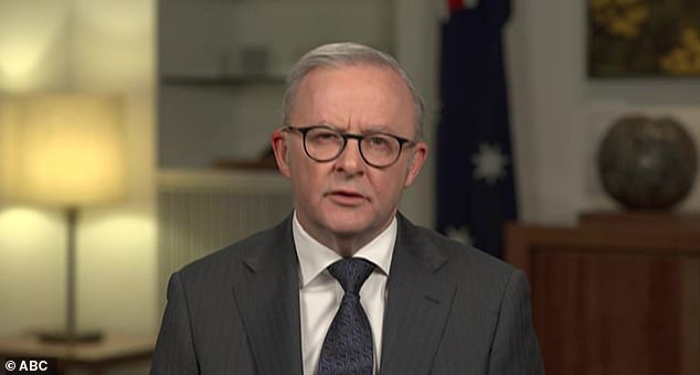 Anthony Albanese es criticado por retrasar el anuncio de la