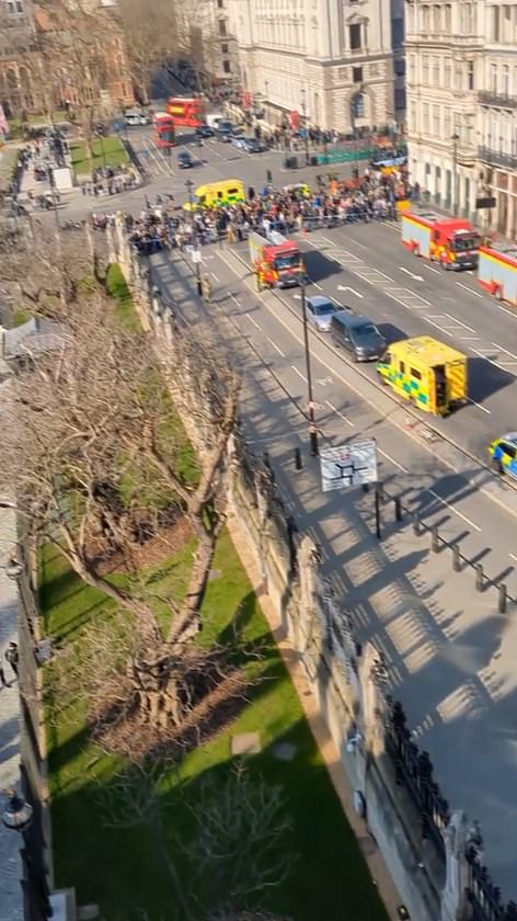 Una vista de la calle desde la transmisión en vivo del manifestante mientras continuaba subiendo el edificio histórico con sus pies ensangrentados