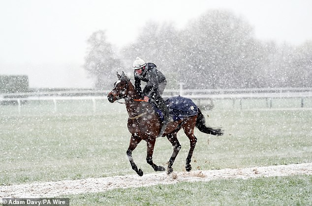 El clima del festival de Cheltenham Snow cae en las