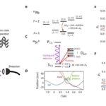 Quantum control 1741684223510