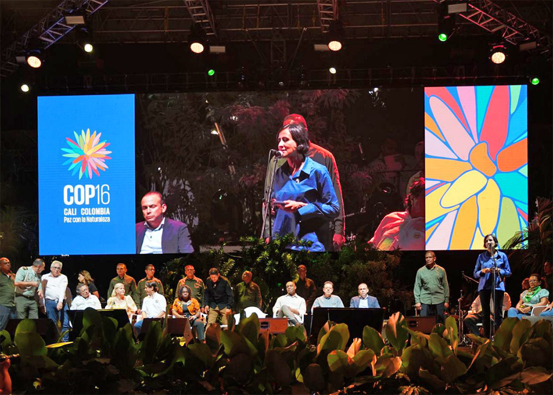 cop16 negotiations